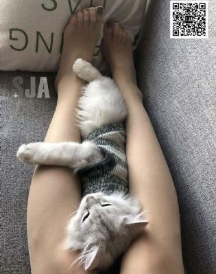 欧美日韩在线观看免费_蓝光日韩电影在线