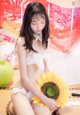 杀狼花电视剧全集免费播放_中文字幕在线观看